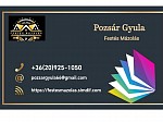Puzsér Gyula